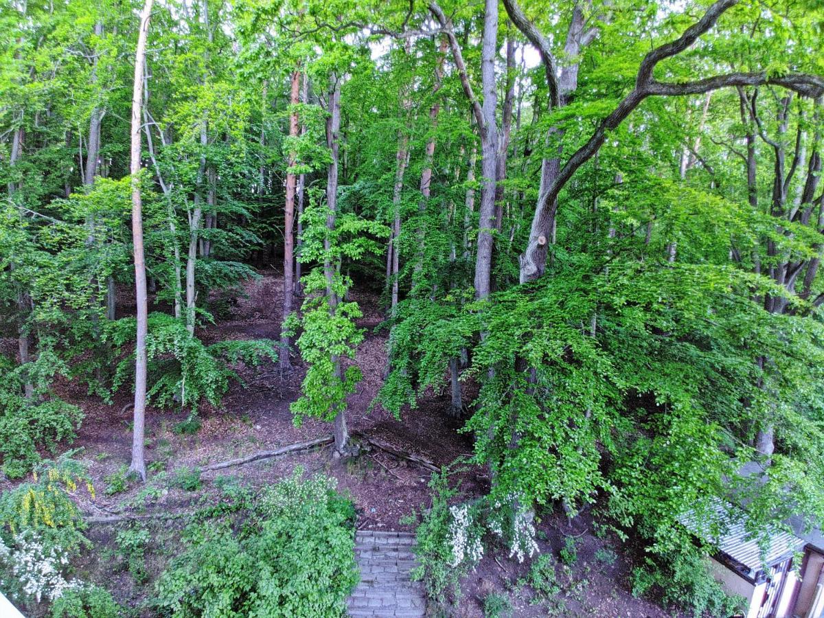 "Near The Forest" Apartment Sopot Extérieur photo